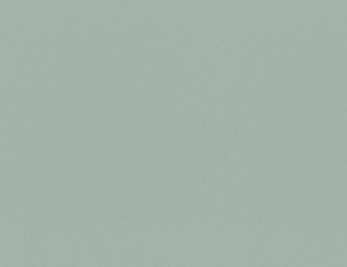 Bild 1 von Vliestapete Uni Grün