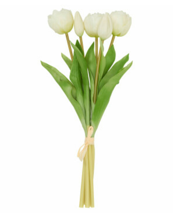 Bild 1 von Kunstblumen Tulpen
       
      Real Touch
     
      weiß