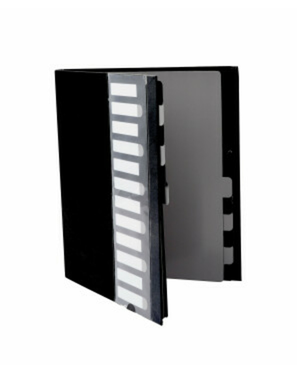 Bild 1 von Sammelmappe aus Pappe
       
      12 Fächer
     
      schwarz