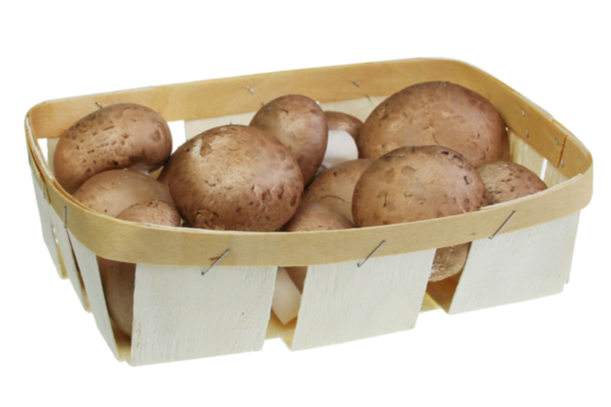 Bild 1 von Champignons Schale