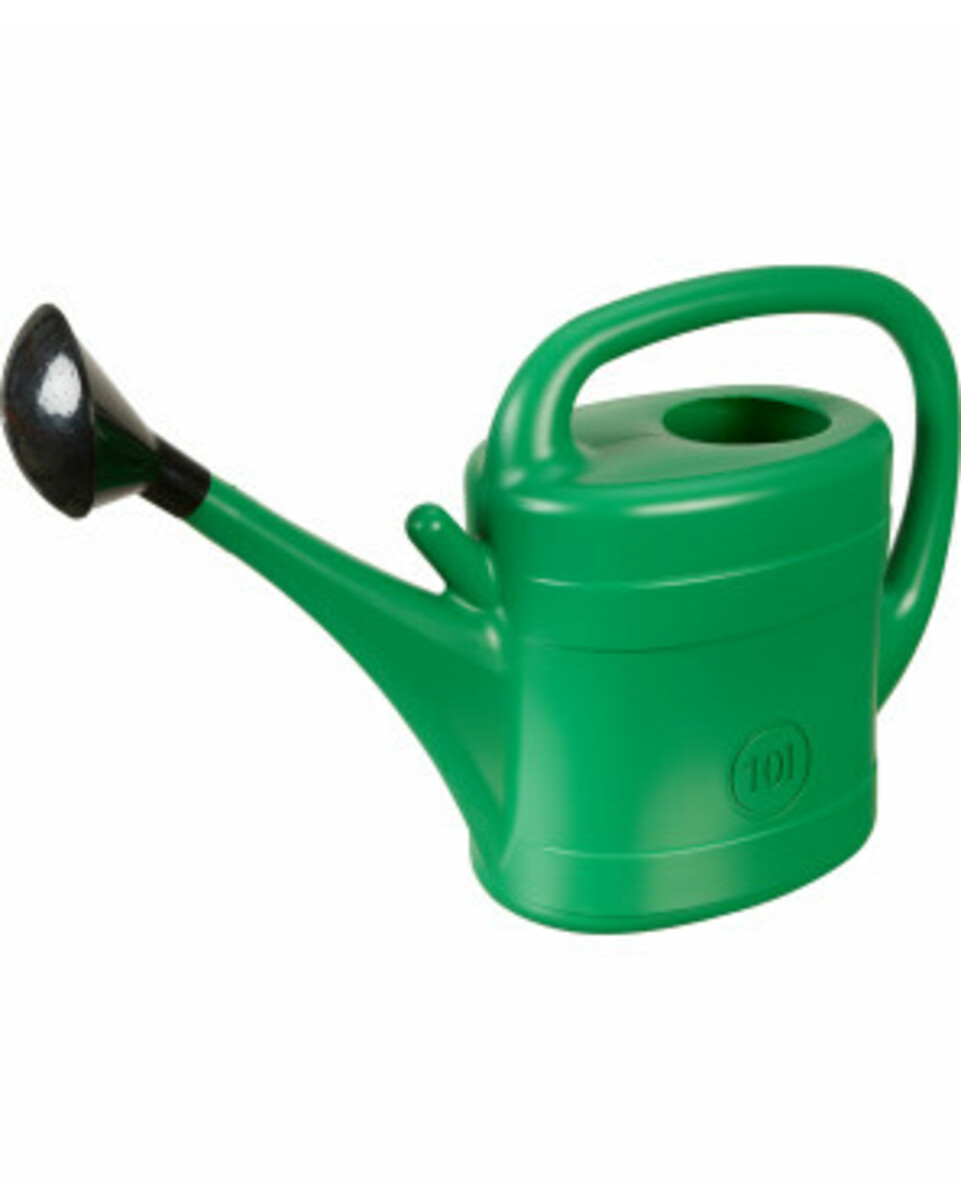 Bild 1 von Grüne Gießkanne
       
      ca. 10 l
     
      grün