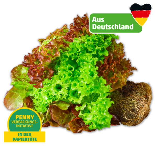 Bild 1 von MARKTLIEBE Deutsche bunte Salate mit Wurzel