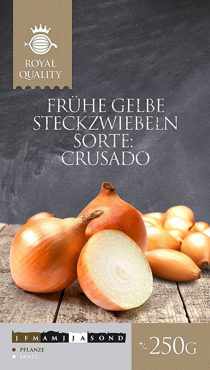 Bild 1 von Frühe gelbe Steckzwiebeln