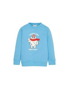 TOM TAILOR - Mini Boys Sweatshirt mit Motiv-Print
