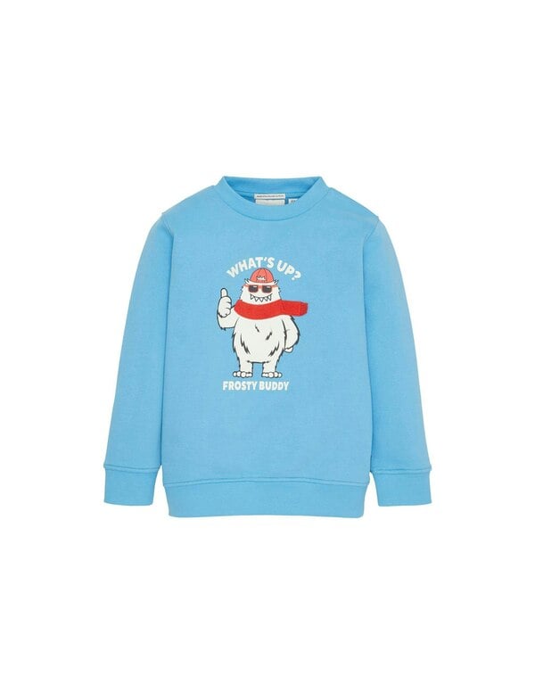 Bild 1 von TOM TAILOR - Mini Boys Sweatshirt mit Motiv-Print