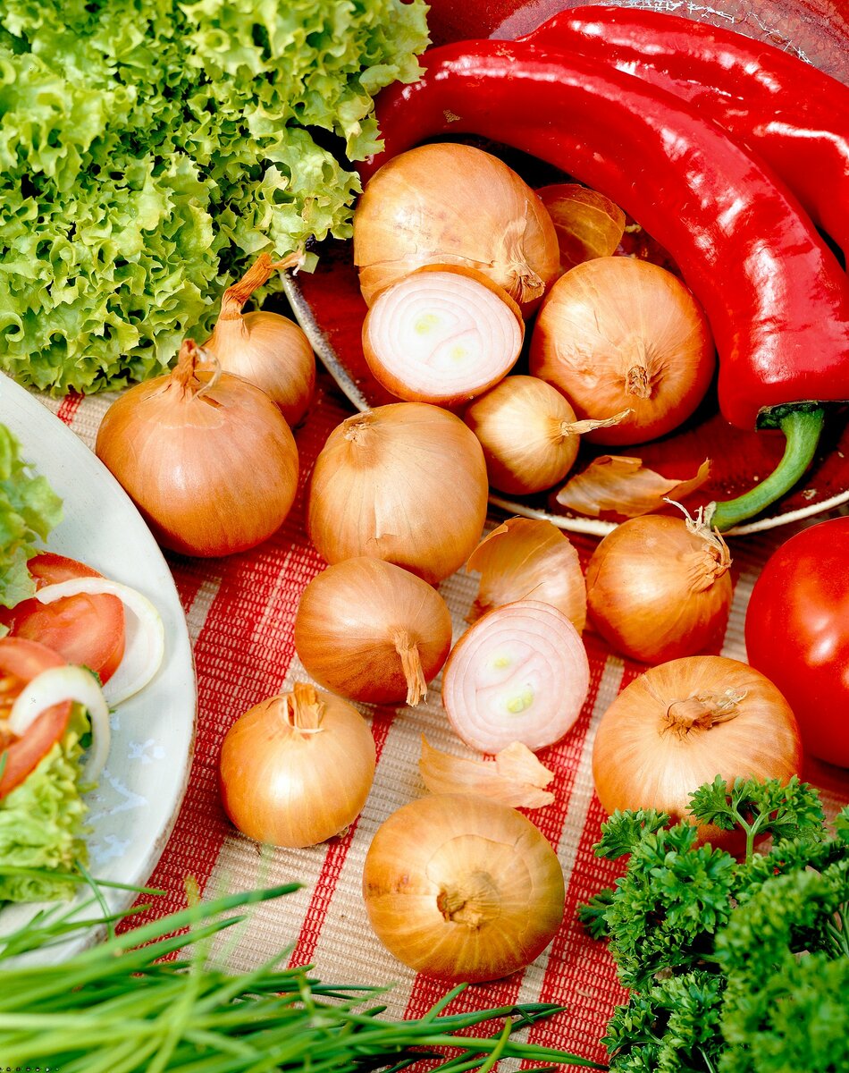 Bild 1 von Schalotten 'Red Sun'