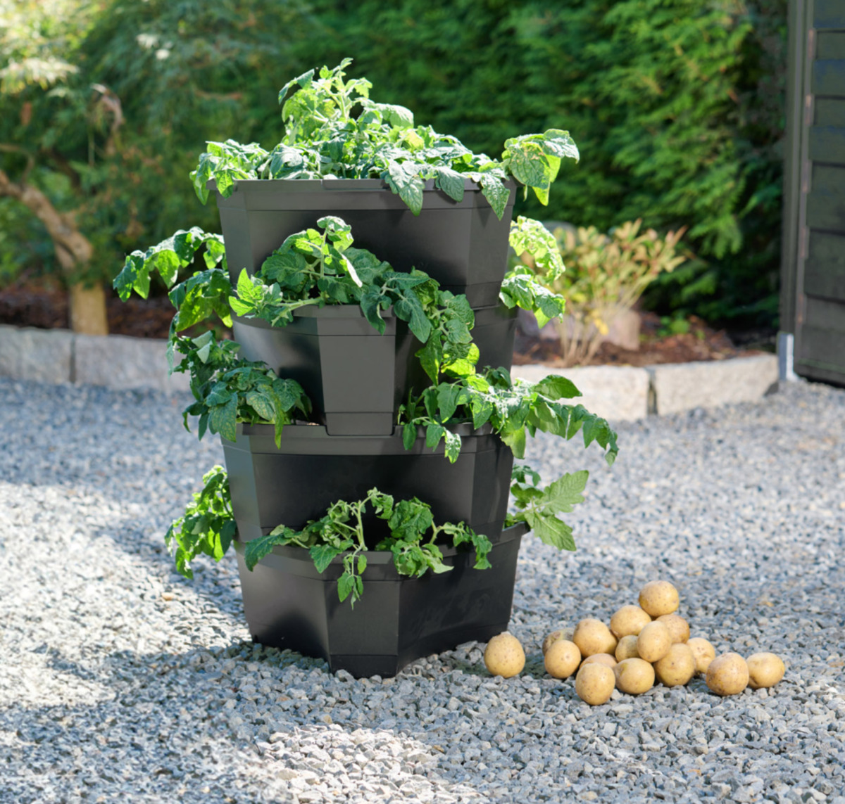 Bild 1 von Kartoffel- und Pflanzturm