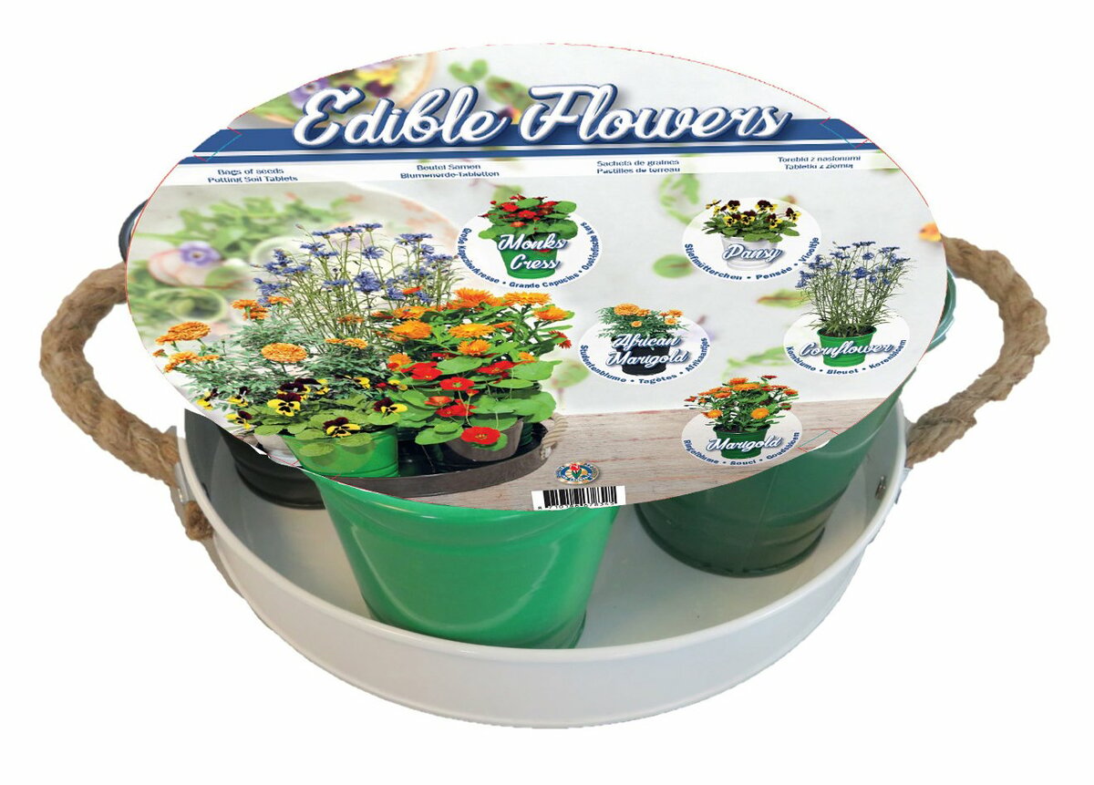 Bild 1 von Mini-Anzuchtset 'Essbare-Blüten' 5 Mini-Zinkeimer