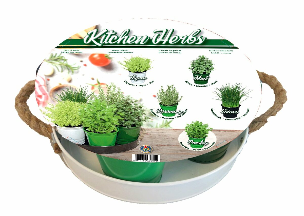 Bild 1 von Mini-Anzuchtset 'Küchenkräuter' 5 Mini-Zinkeimer