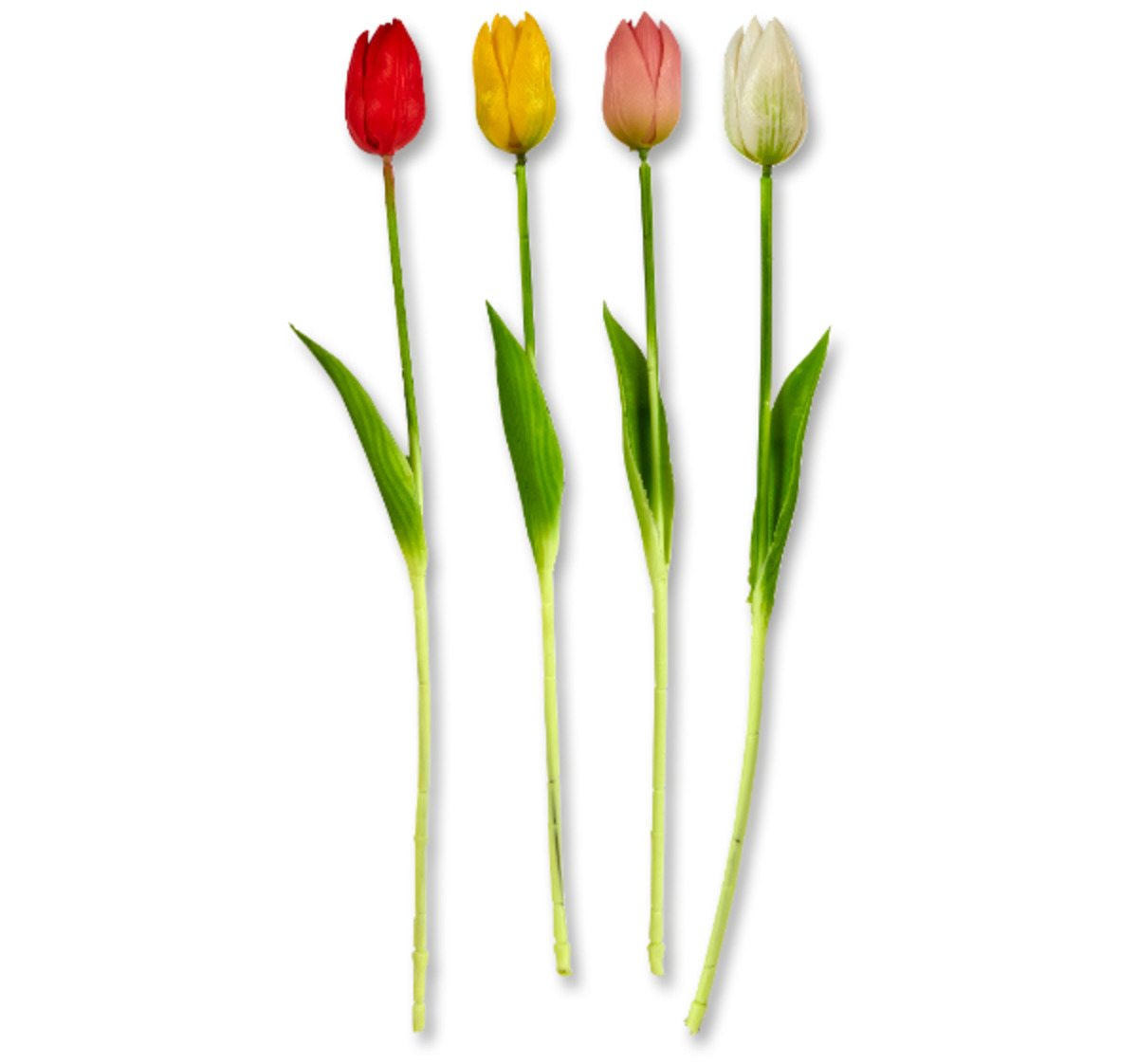 Bild 1 von Deko-Tulpe*