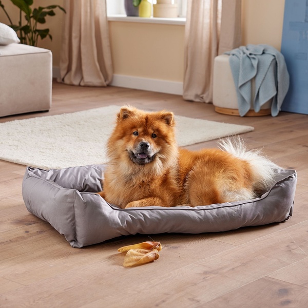 Bild 3 von ROMEO XXL-Hundebett