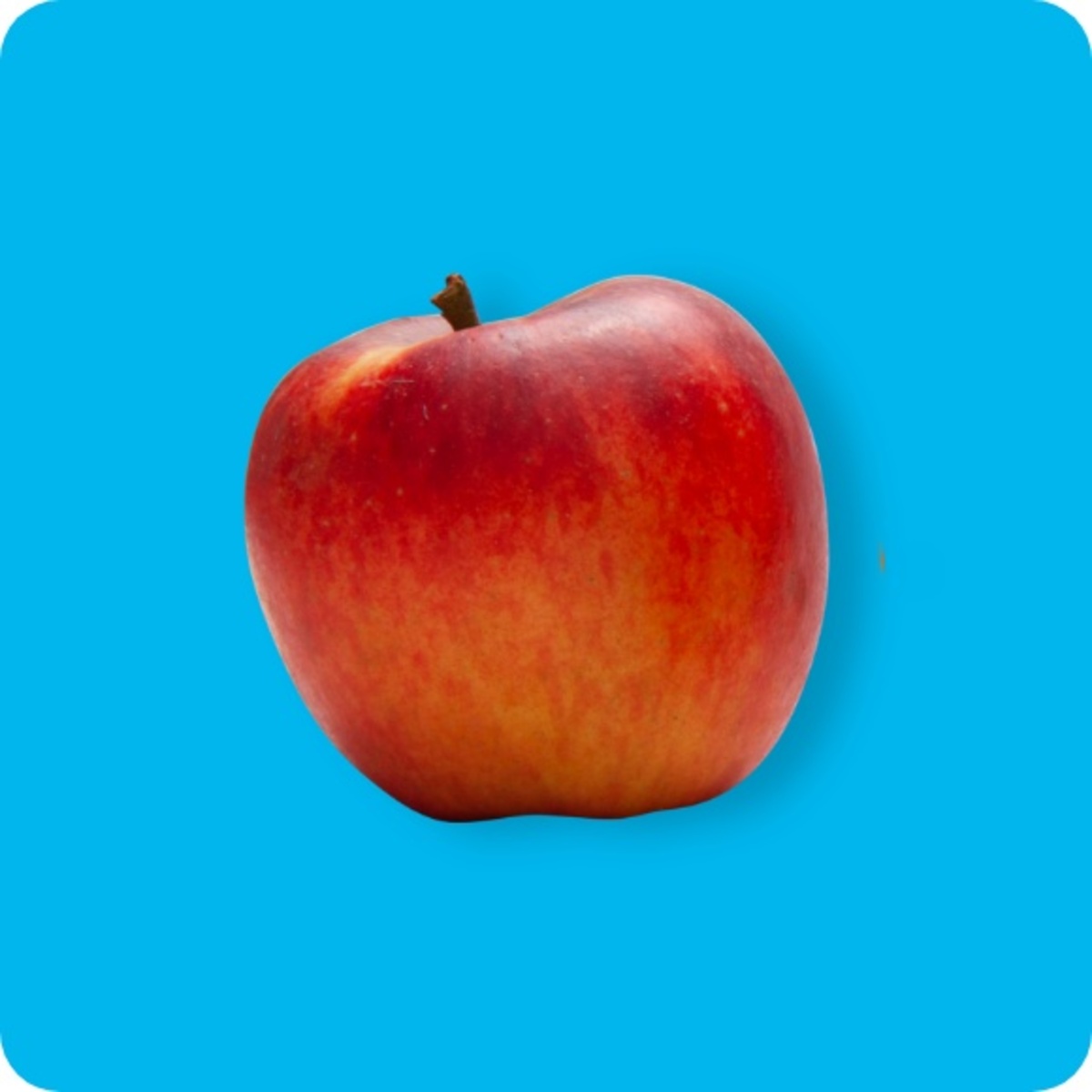 Bild 1 von Äpfel Elstar