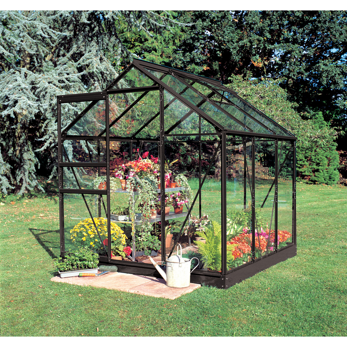 Bild 1 von Halls Gewächshaus 'Popular 66' 3,8 m² 193 x 195 cm 3 mm Blankglas schwarz