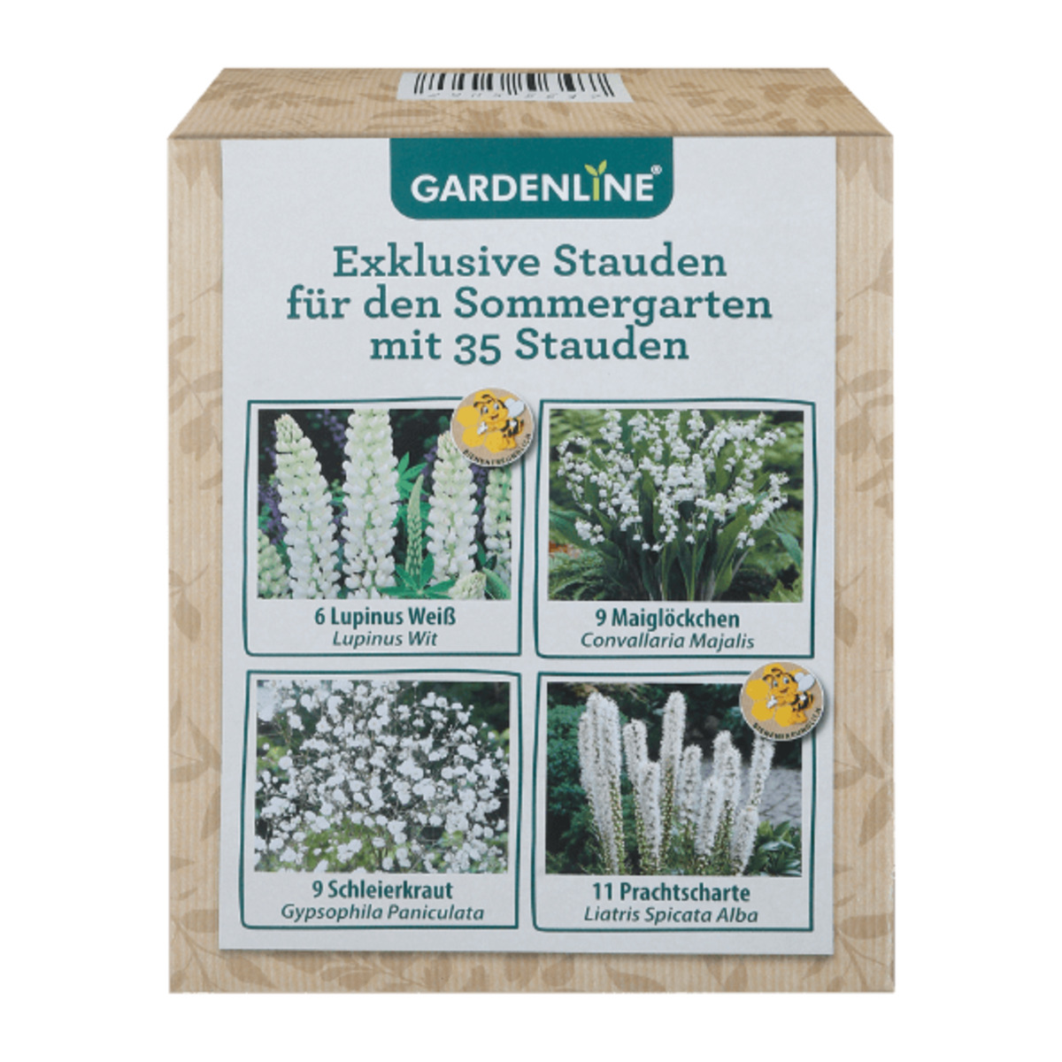 Bild 2 von GARDENLINE Stauden für den Sommergarten