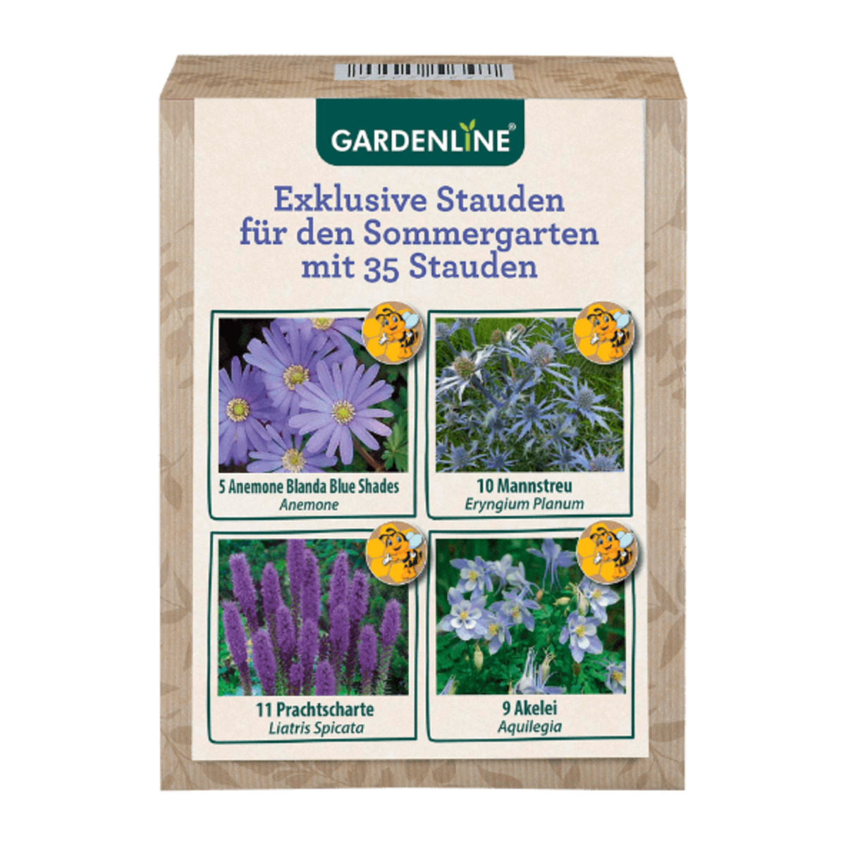 Bild 4 von GARDENLINE Stauden für den Sommergarten