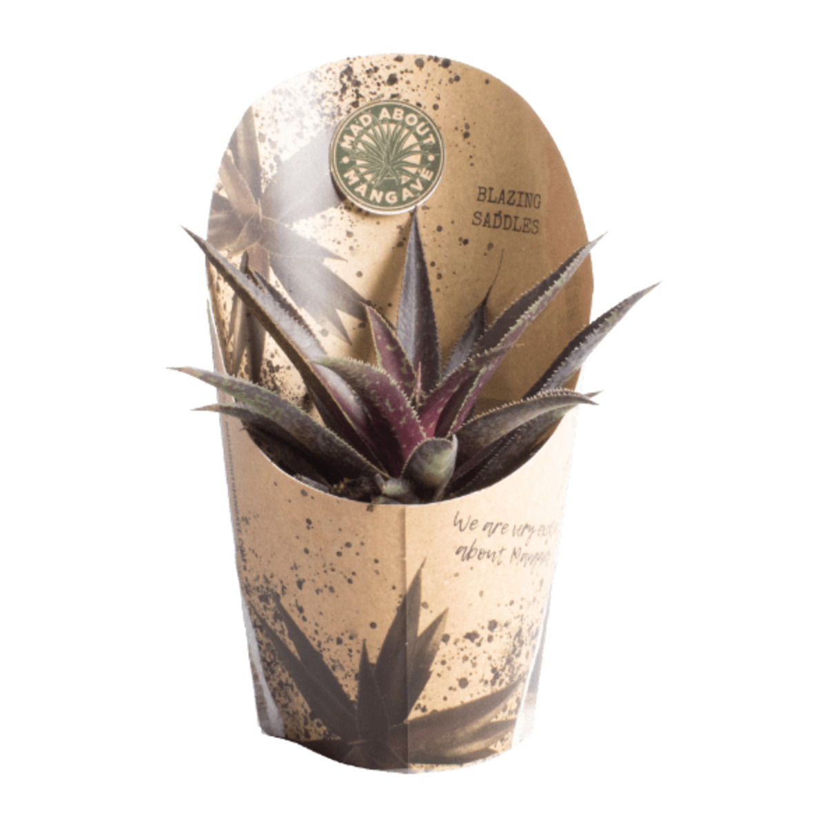 Bild 3 von GARDENLINE Mangave