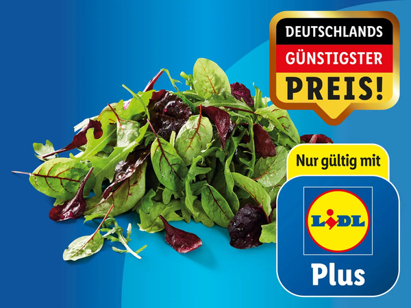 Bild 1 von Salat-Mix, 
         125 g