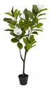 Bild 2 von Kunstpflanze SPINDEL H120cm grün/weiß Magnolie