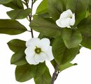 Bild 3 von Kunstpflanze SPINDEL H120cm grün/weiß Magnolie