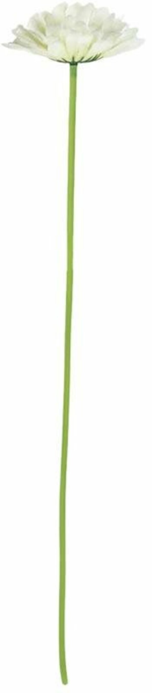 Bild 4 von künstliche Gerbera ca. 47 cm groß