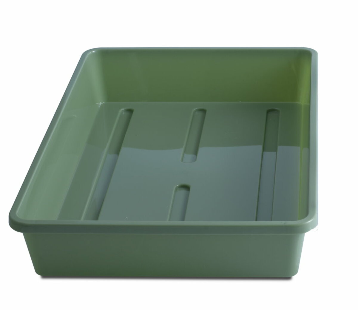 Bild 1 von TrendLine Anzuchtschale 38 x 24 x 6 cm grün