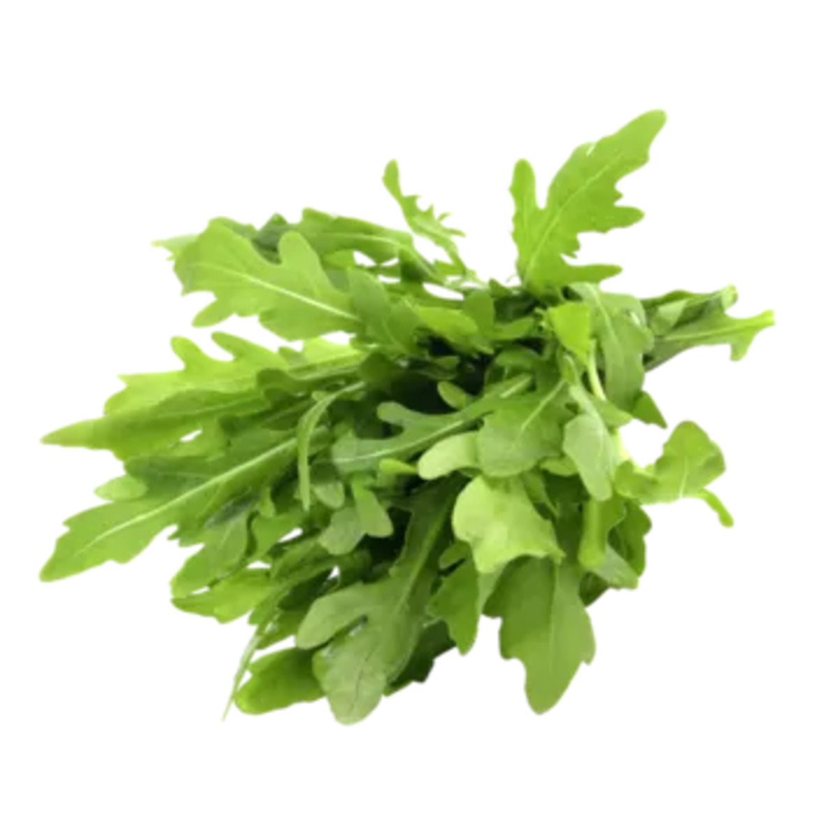 Bild 1 von Italien
Bio Feld-, Pflücksalat, Rucola oder Babyspinat