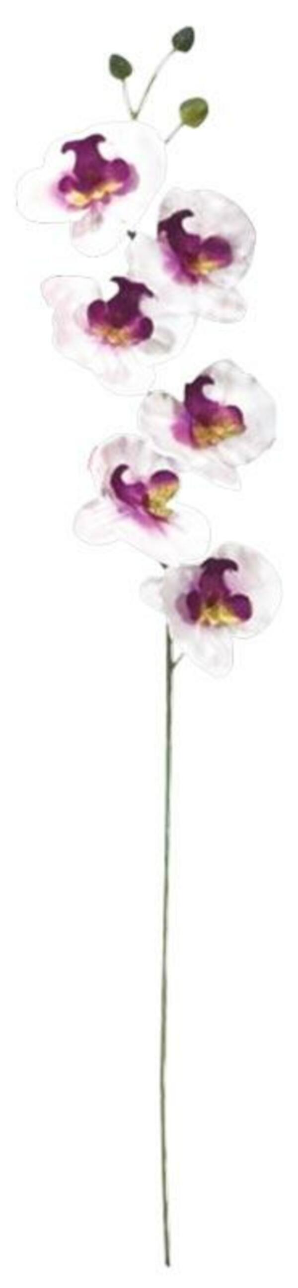 Bild 2 von künstliche Orchidee ca. 78 cm groß
