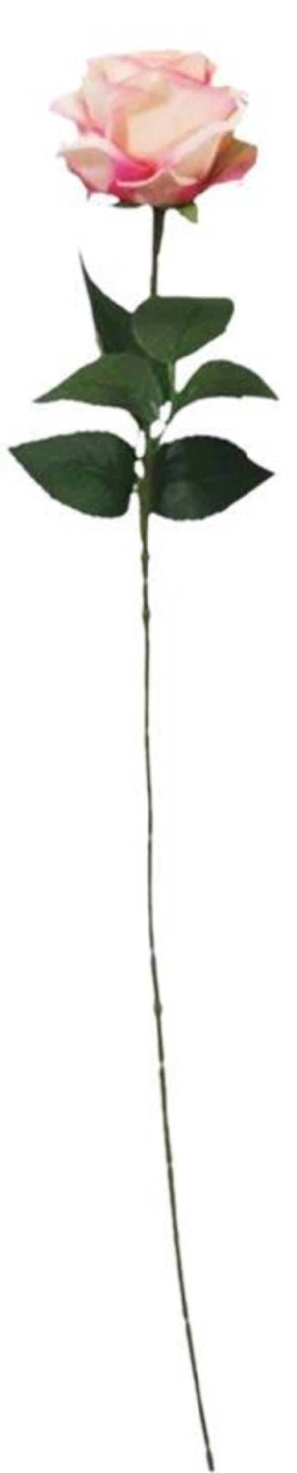 Bild 2 von künstliche Rose ca. 63 cm groß