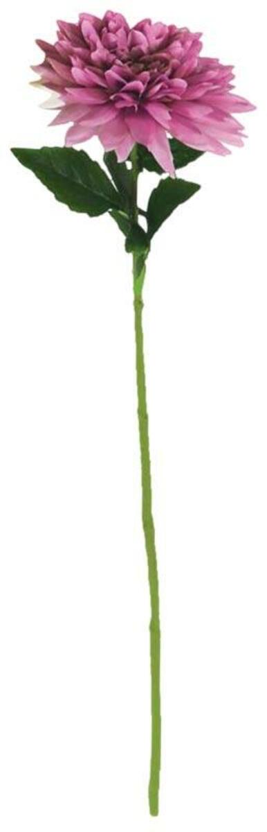 Bild 1 von künstliche Dahlie ca. 69 cm groß