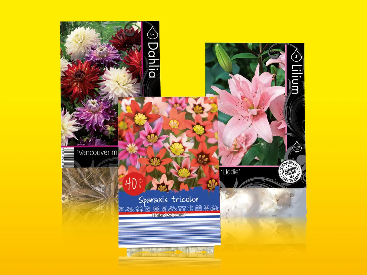 Bild 1 von Blumenzwiebeln, 
         Packung