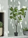 Bild 4 von Kunstpflanze SPINDEL H120cm grün/weiß Magnolie