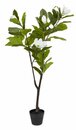 Bild 1 von Kunstpflanze SPINDEL H120cm grün/weiß Magnolie