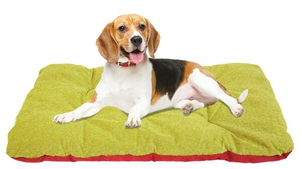 Bild 2 von Hundekissen