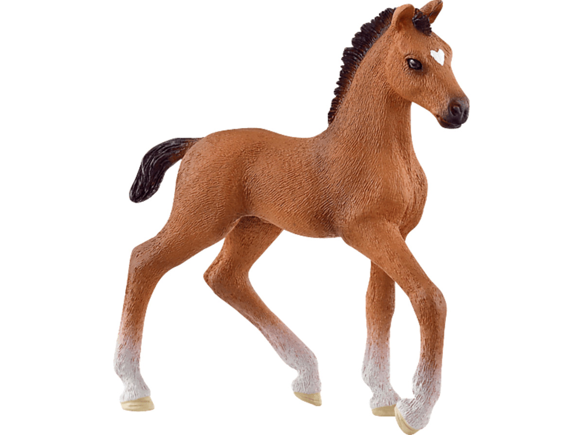 Bild 1 von SCHLEICH Oldenburger Fohlen Spielfigur Mehrfarbig, Mehrfarbig