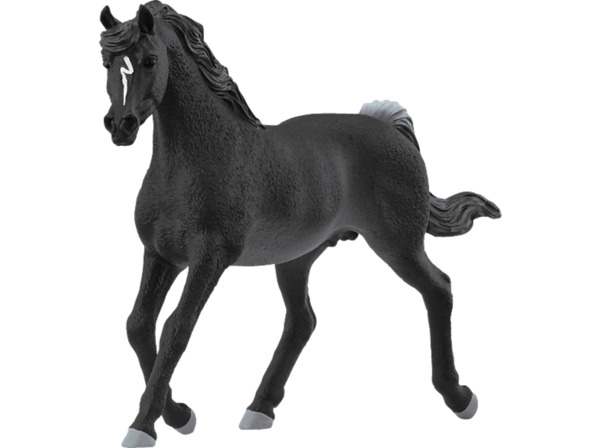 Bild 1 von SCHLEICH 13981 ARABER HENGST Spielfigur Mehrfarbig, Mehrfarbig