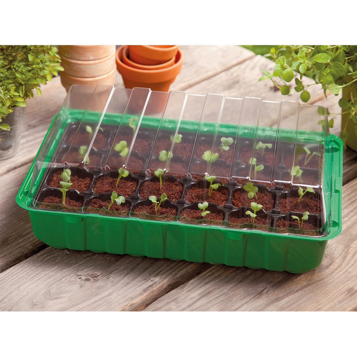 Bild 1 von Powertec Garden Fensterbank-Treibhaus 3er-Set