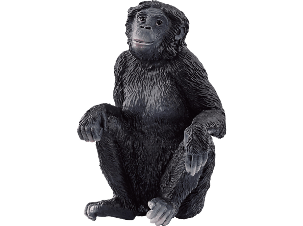 Bild 1 von SCHLEICH 14875 BONOBO WEIBCHEN Spielfigur Mehrfarbig, Mehrfarbig