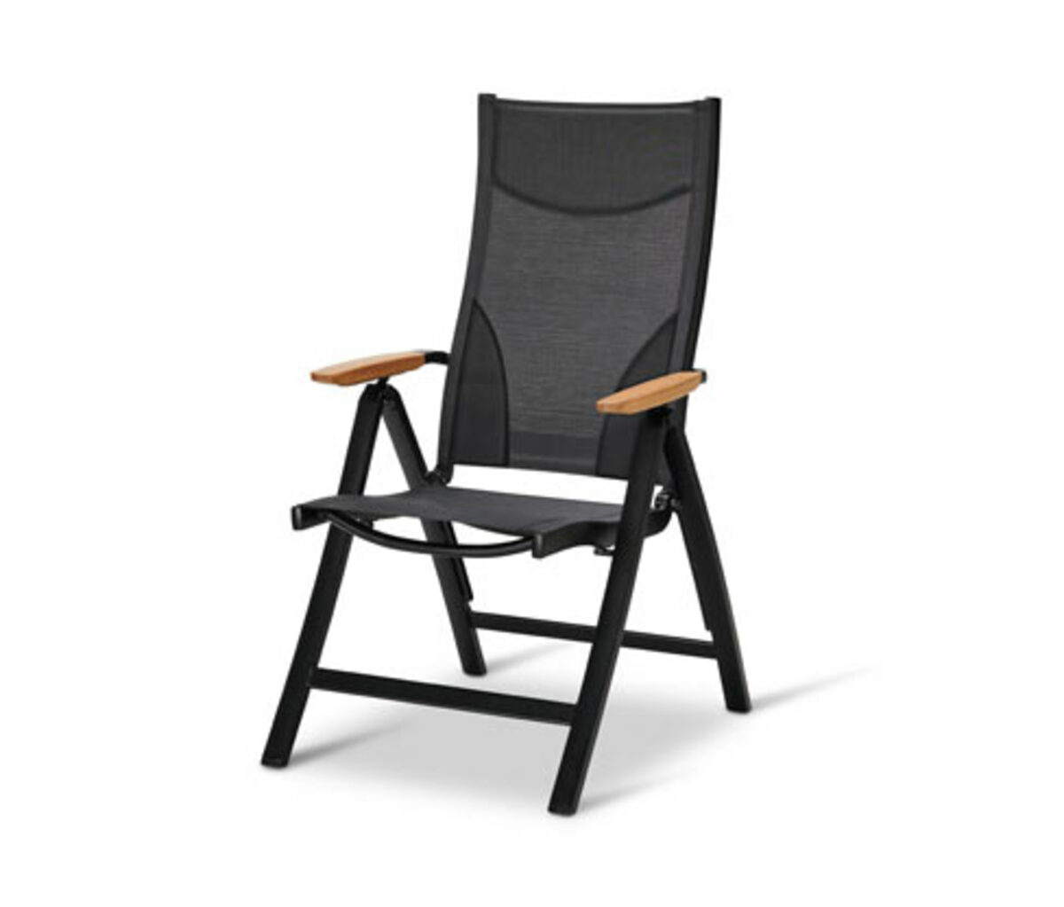 Bild 1 von Hochlehner mit verstellbarer Rückenlehne