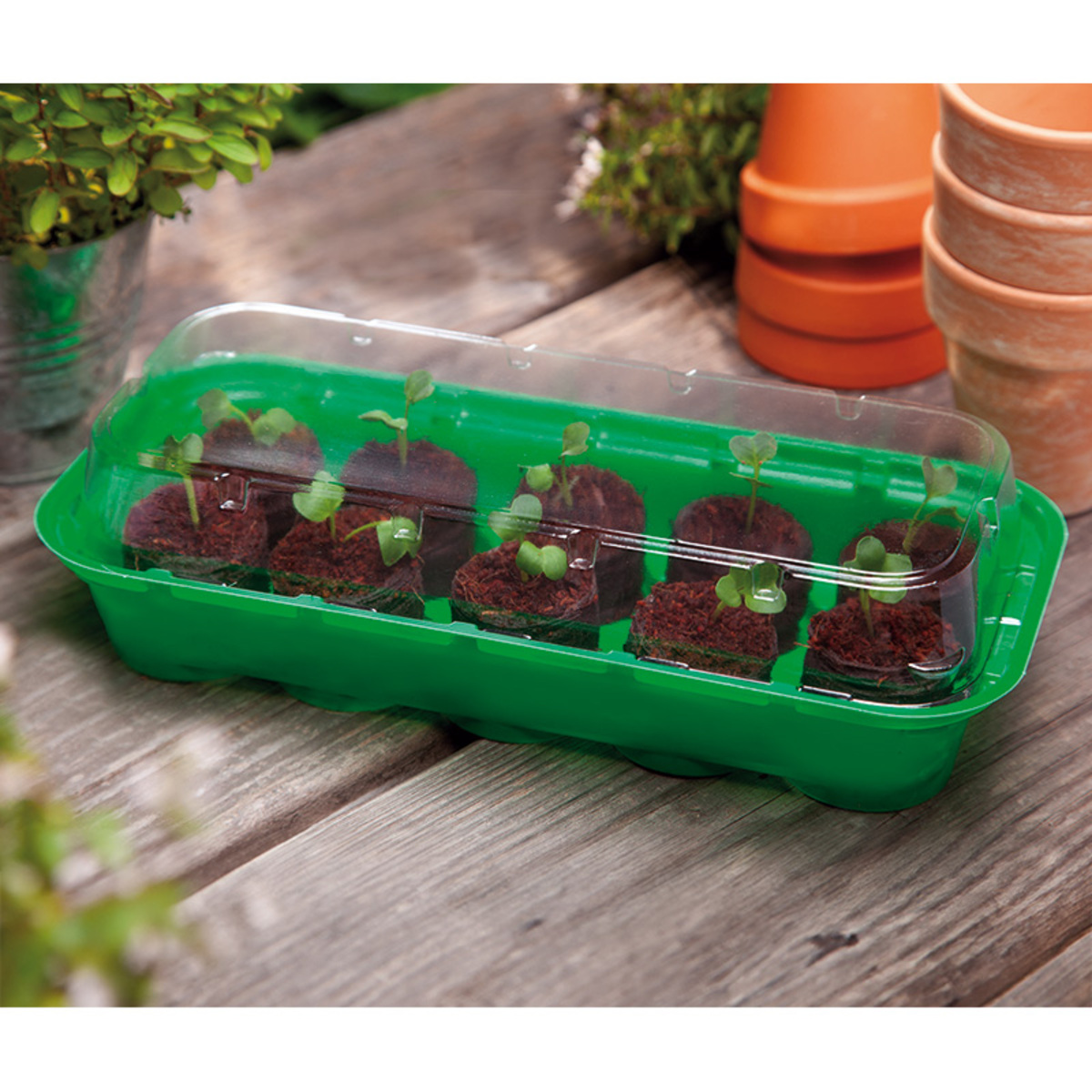 Bild 1 von Powertec Garden Fensterbank-Treibhaus 4er-Set