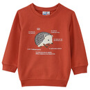 Bild 1 von Kinder Sweatshirt mit Igel-Motiv ORANGE