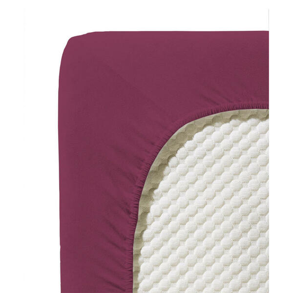 Bild 1 von Fleuresse Spannbetttuch Jenny C, Beere, Textil, 150x200 cm, bügelleicht, Schlaftextilien, Bettwäsche, Spannbettlaken