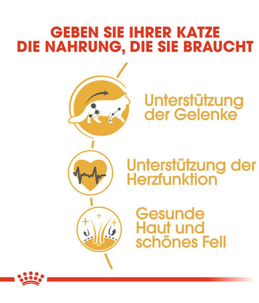Bild 4 von ROYAL CANIN® Trockenfutter für Katzen Maine Coon Adult