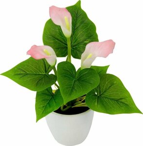 Kunstpflanze Mini Calla Calla, I.GE.A., Höhe 20 cm, Rosa