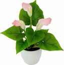 Bild 1 von Kunstpflanze Mini Calla Calla, I.GE.A., Höhe 20 cm, Rosa