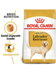 Bild 2 von ROYAL CANIN® Trockenfutter für Hunde Labrador Retriever Adult