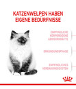 Bild 3 von ROYAL CANIN® Trockenfutter für Katzen Second Age Kitten