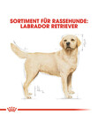 Bild 3 von ROYAL CANIN® Trockenfutter für Hunde Labrador Retriever Adult
