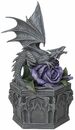 Bild 1 von Anne Stokes Statue - Dragon Beauty Box - grau/purple