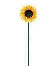Bild 1 von Dehner Metall-Dekostab Sonnenblume