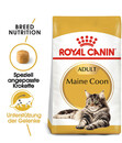 Bild 2 von ROYAL CANIN® Trockenfutter für Katzen Maine Coon Adult